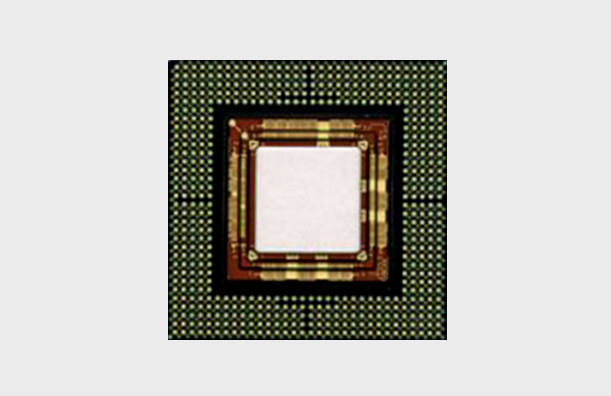 BGA package chip